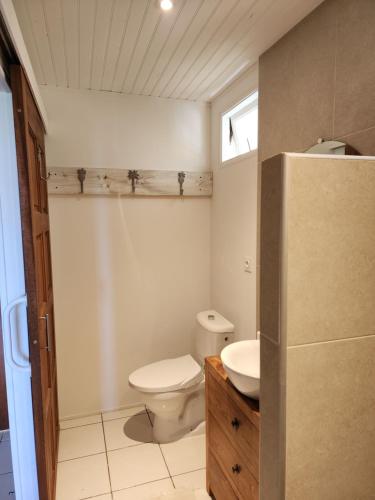 乌图罗阿Bungalow Tiare的一间带卫生间和水槽的小浴室