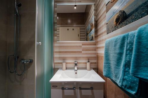 布雷拉Apartments Tina的一间带水槽、淋浴和镜子的浴室
