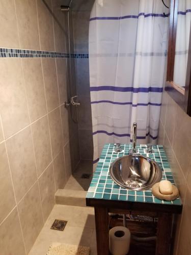 科隆El Sosiego Posada de Campo的一间带水槽和淋浴的浴室