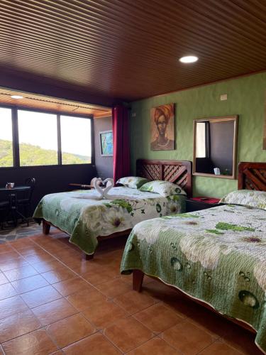 蒙泰韦尔德哥斯达黎加俯瞰海景住宿加早餐旅馆的配有两张床铺的绿色墙壁和窗户