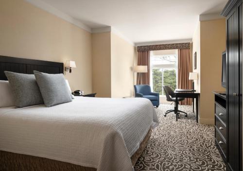 卡尔斯巴德西方套房酒店的配有一张床和一张书桌的酒店客房