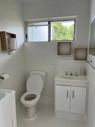凯恩斯Coral Reef Resort的一间带卫生间、水槽和窗户的浴室