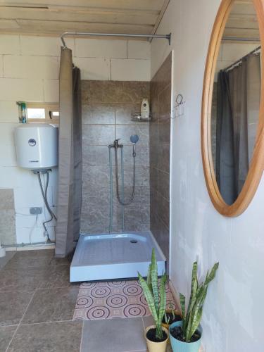 Lielie UnguriAimasas Camping的带浴缸和镜子的淋浴的浴室