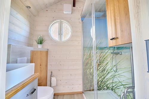 MariendorfTiny House的带淋浴和卫生间的小浴室