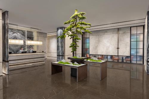 杭州杭州馨乐庭青山湖公寓酒店的大堂设有2张桌子,上面有植物