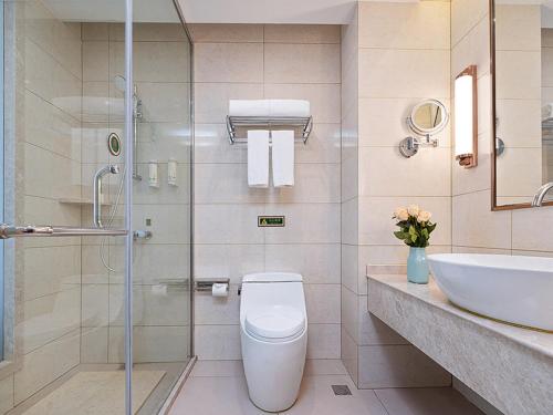 丹阳维也纳酒店江苏丹阳眼镜城高铁站大泊店的浴室配有卫生间、盥洗盆和淋浴。