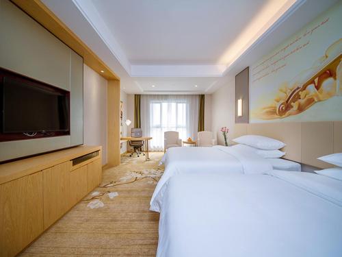 宜昌维也纳国际酒店·湖北宜昌葛洲坝三峡文化天地店的酒店客房设有两张床和一台平面电视。