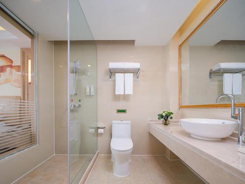重庆维也纳国际酒店重庆鸳鸯园博园店的浴室配有卫生间、盥洗盆和淋浴。