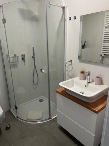 奥古斯图Sosnowe Apartamenty - Marina.的带淋浴和盥洗盆的浴室
