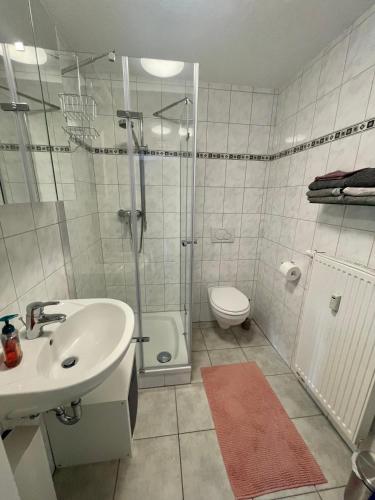 海格尔An der Aubach的带淋浴、盥洗盆和卫生间的浴室