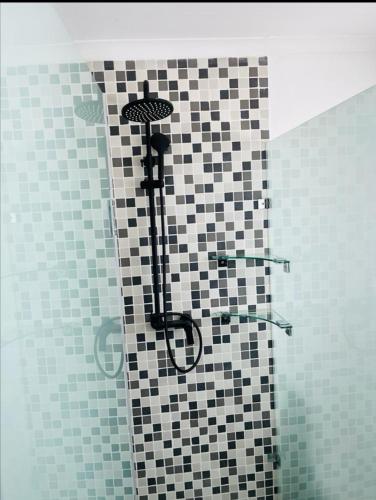 哈博罗内Comfy Zone Apartment的浴室设有格子瓷砖和淋浴