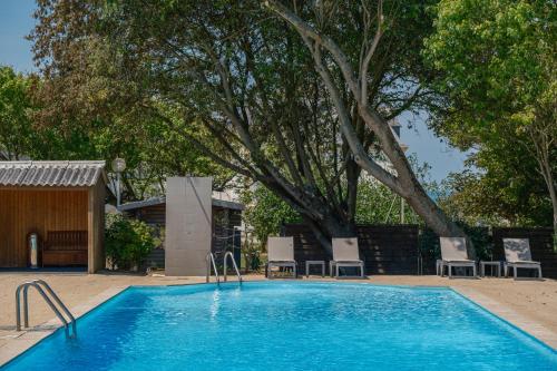 坡隆维茨普尔扎伊帕拉格酒店的一座带椅子和树的大型游泳池