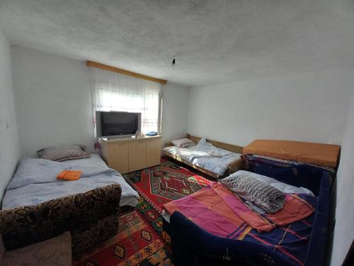 维索科Kuća na selu-Mutvak-的一间设有两张床和电视的房间
