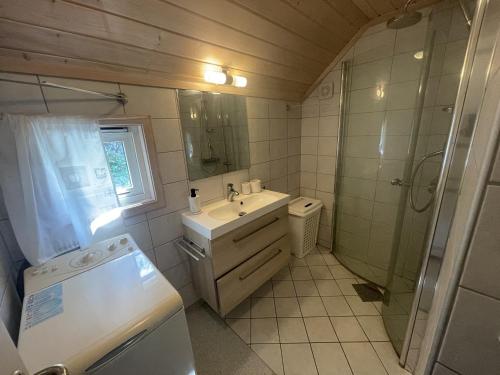 桑讷菲尤尔Perla - cabin by the sea close to sandy beaches的一间带水槽和淋浴的小浴室