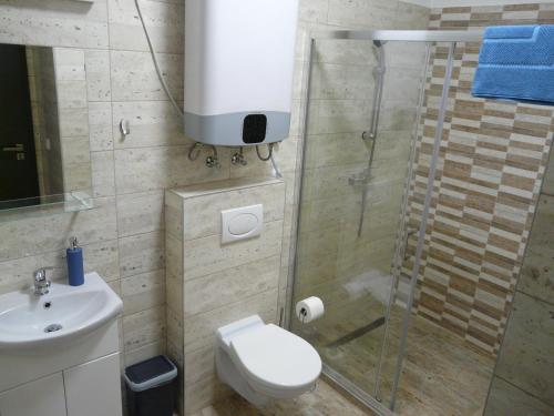 巴拉顿城堡Juventus Meggie的带淋浴、卫生间和盥洗盆的浴室