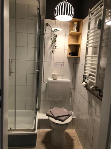不莱梅East-Village-No5 Bremen的一间带卫生间和淋浴的小浴室