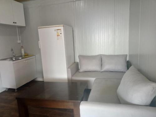 穆拉Karavan Kır Evi的带沙发和冰箱的客厅
