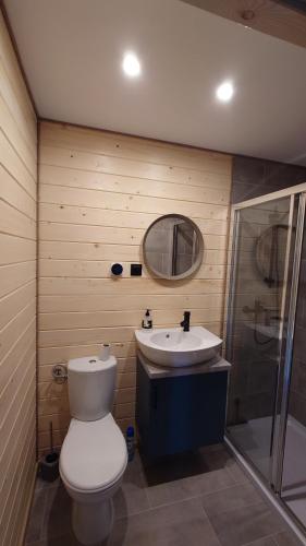 奥克宁卡SOSNOWY ZAKĄTEK的一间带卫生间、水槽和镜子的浴室