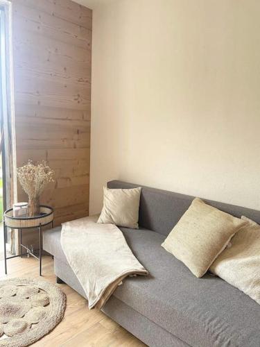 梅塔比耶Appartement cosy的客厅配有灰色的沙发和桌子