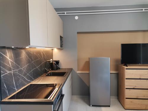 班约勒Apartments Vesela的厨房配有水槽和冰箱