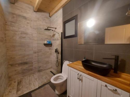 NuritGilboa Siesta / סייסטה בגלבוע的一间带黑色水槽和卫生间的浴室
