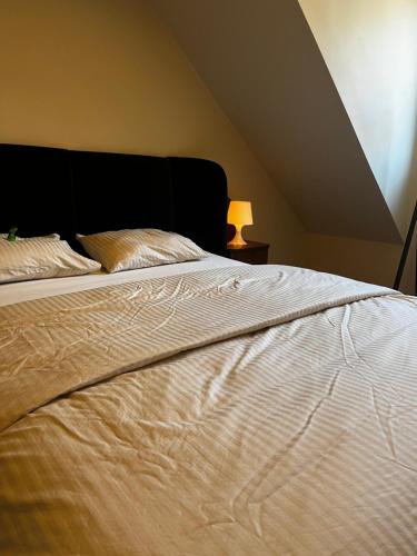 赫尔Appartement Parkzicht的一张带黑色床头板和灯的大型白色床