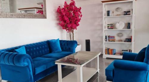 奥林普Meduza Hotel的客厅里设有一张蓝色的沙发和两把蓝色的椅子