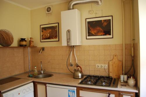 罗夫诺Apartment Stepana Bandery Street的厨房配有水槽和炉灶 顶部烤箱