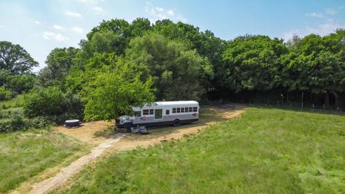 阿克菲尔德American School Bus Retreat with Hot Tub in Sussex Meadow的停在树旁的田野上的一辆白色巴士