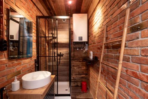 彼得罗瓦拉丁Brauhaus Danube Cottage的一间带水槽和砖墙的浴室
