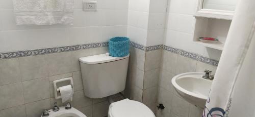 圣米格尔·德·图库玛Departamento B. Sur的一间带卫生间和水槽的小浴室