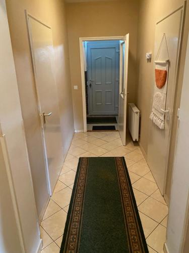 巴拉顿菲兹弗Arsenal sorházi apartman的一条带蓝色门和绿色地毯的走廊