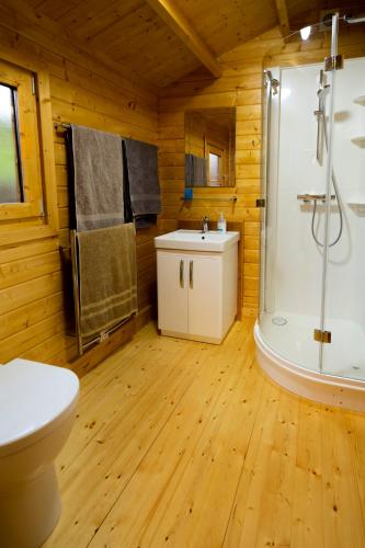 lower hawthwaiteAmazing Views Log Cabin Broughton Mills South Lakes的带淋浴、卫生间和盥洗盆的浴室