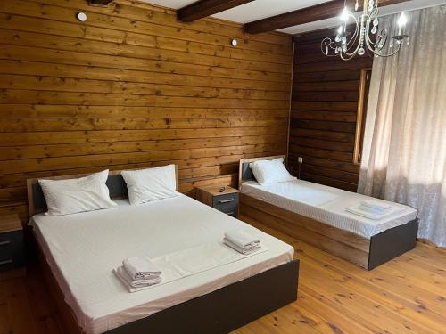 古达乌塔Olympia的配有木墙和吊灯的客房内的两张床