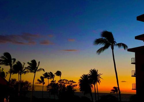 基黑Campervan/Maui hosted by Go Camp Maui的大海前棕榈树的日落
