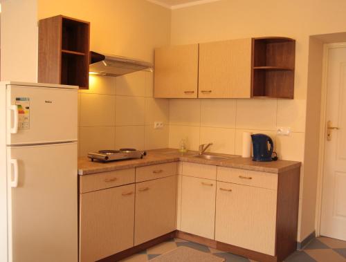 PieszyceGóry Sowie Apartament z osobnym wejściem的厨房配有白色冰箱和水槽