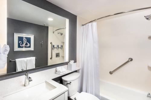 洛杉矶登洛杉矶西部福朋喜来登酒店的一间带卫生间、水槽和镜子的浴室