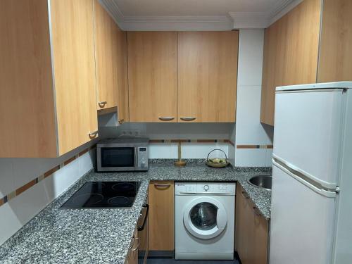 阿里翁达斯APARTAMENTO RIO SELLA的厨房配有洗衣机和冰箱。