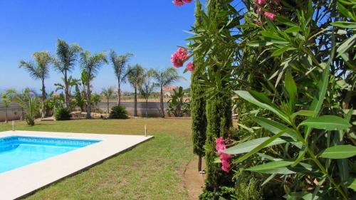 Ayios TheodhorosVilla Aris的一个带游泳池和一个布满粉红色花卉的灌木的花园