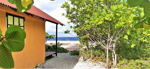 法卡拉瓦FAKARAVA - Teariki Lodge 2的一座橘色的建筑,在海边有一棵树