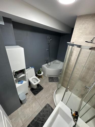 比斯特里察Nix Apartment - Calea Moldovei的带淋浴、卫生间和盥洗盆的浴室