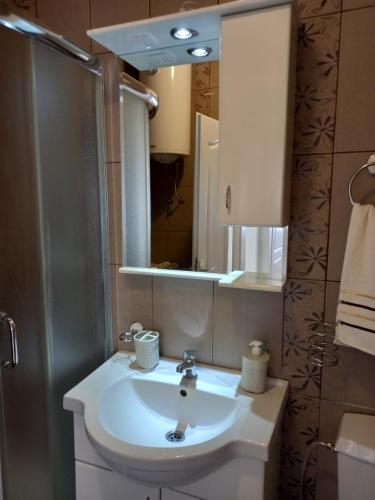 帕拉钦Apartman Marija的一间带水槽和镜子的浴室