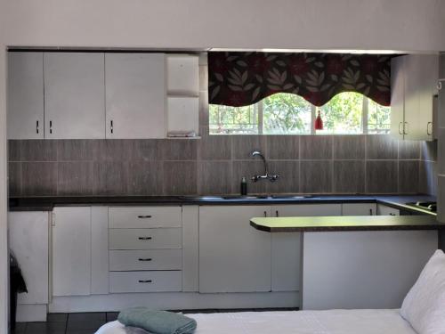 波罗瓜尼29B Zebra Street - InHimwe Guesthouse的厨房配有白色橱柜、水槽和窗户。