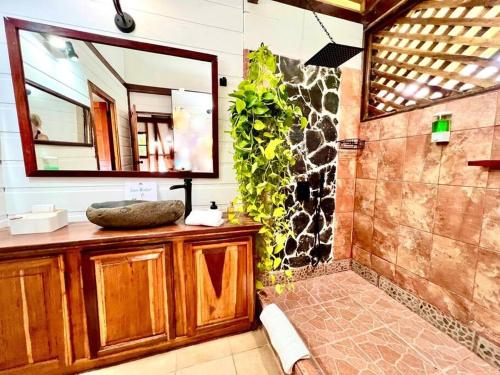 别霍港Casa Elita - Tranquil Escape with Pool, Jacuzzi, AC的浴室配有盥洗盆和带镜子的淋浴