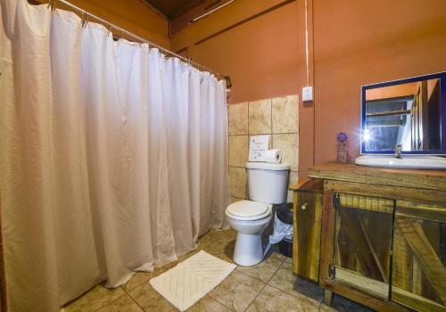 戈尔菲托Canto del Tucán Lodge and Farm的浴室配有白色卫生间和盥洗盆。