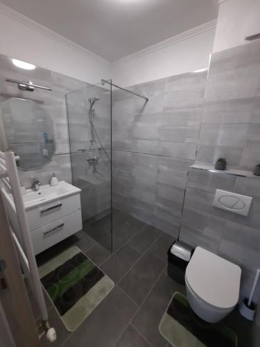 巴拉顿诺尔马迪Gizella Apartman的带淋浴、卫生间和盥洗盆的浴室