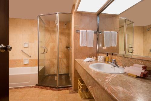 深圳深圳阳光酒店的一间带水槽和淋浴的浴室