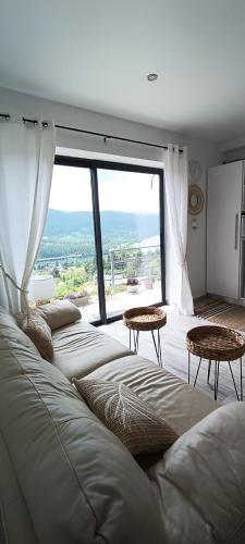 科利比塔Studio 2 Cabana de pe Stanca的带沙发和大窗户的客厅