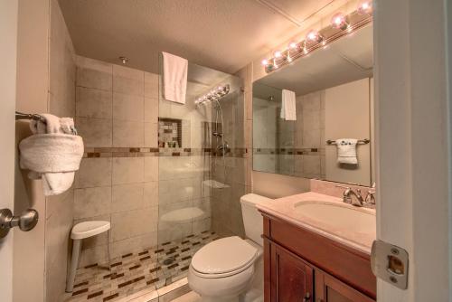 新布朗费尔斯Grandmas River Haus RRC A108的一间带卫生间、水槽和镜子的浴室