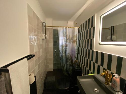 汉堡Schöne Wohnung mit Elbblick in Blankenese Strandlage的一间带绿色水槽和淋浴的浴室